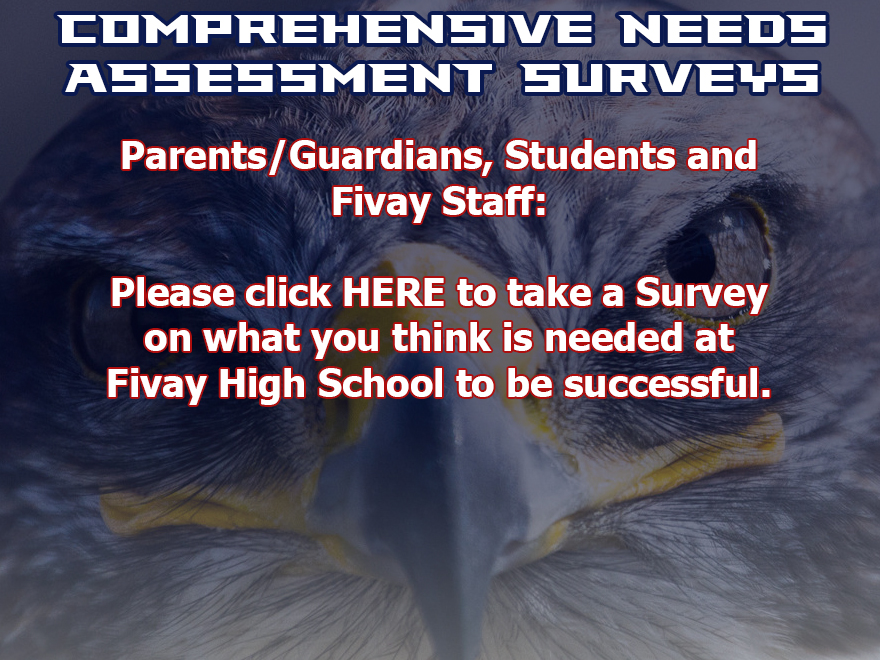 Comprehensive Needs Assessment Surveys